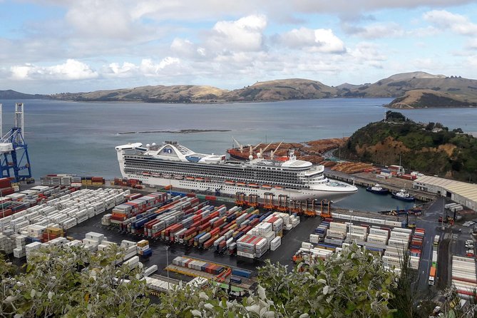 Dunedin Nature & City Tour – Full Day Cruise Excursion - Botanic Garden options for sun or rain