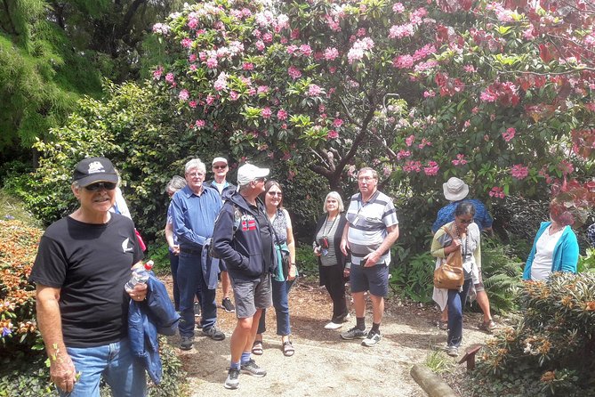 Dunedin Nature & City Tour – Full Day Cruise Excursion - St Clair and St Kilda bring in the coast