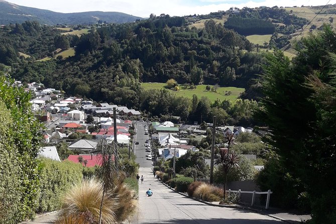 Dunedin Nature & City Tour – Full Day Cruise Excursion - Mount Cargill gives the big picture