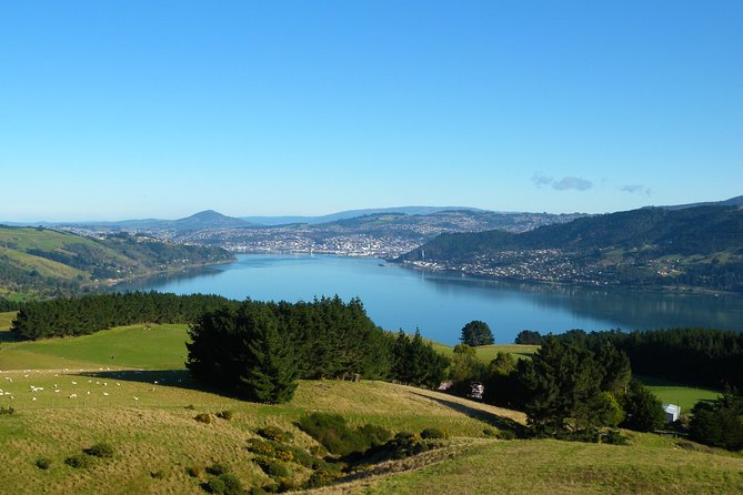 Dunedin Nature & City Tour – Full Day Cruise Excursion - Orokonui and the native wildlife connection