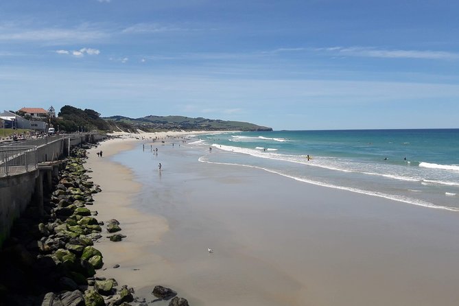 Dunedin Nature & City Tour – Full Day Cruise Excursion - Starting with Dunedin’s central Octagon