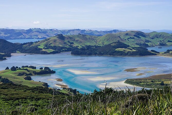 Dunedin Shore Excursion City Sightseeing & Tour of Larnach Castle - How much value do you get for $108.60?