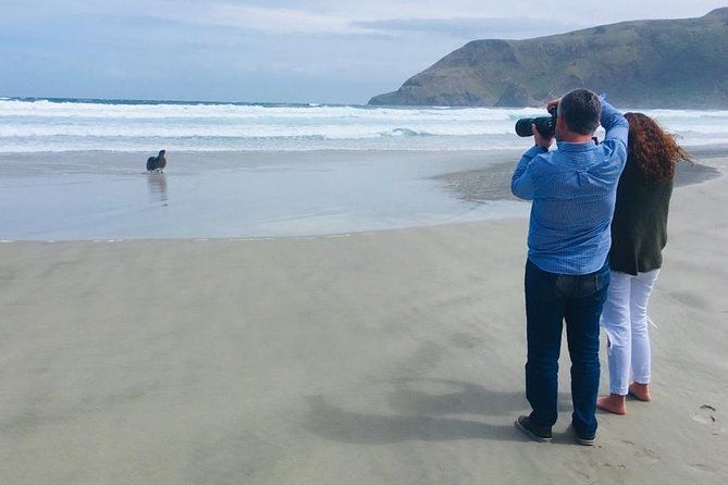 Dunedin Shore Excursion: Small-Group Tour of Dunedin and the Otago Peninsula - Baldwin Street takes five minutes, but it is worth the photo