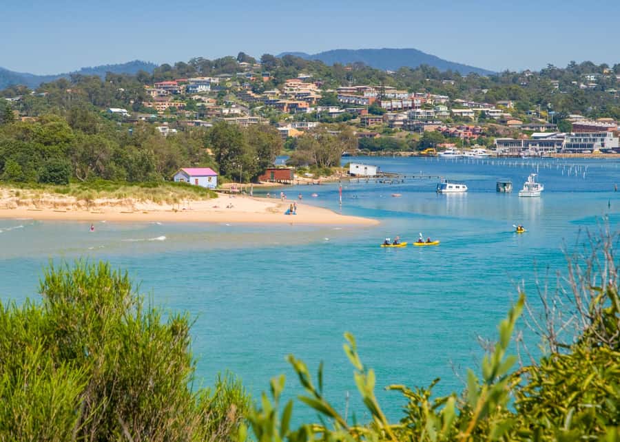 Eden: Sapphire Coast 4 Hour Shore Excursion - Quick points to know