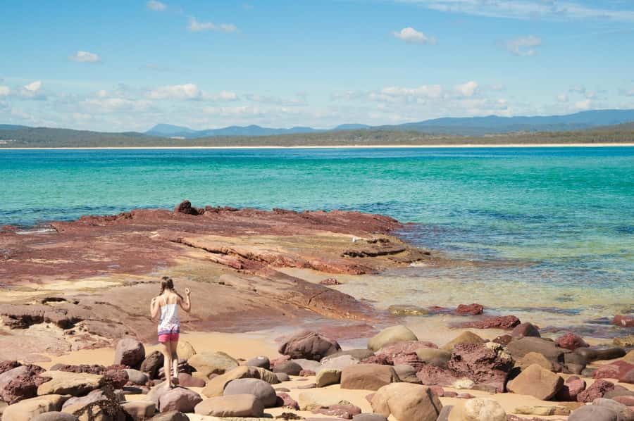 Eden: Sapphire Coast 4 Hour Shore Excursion - What you get for $113
