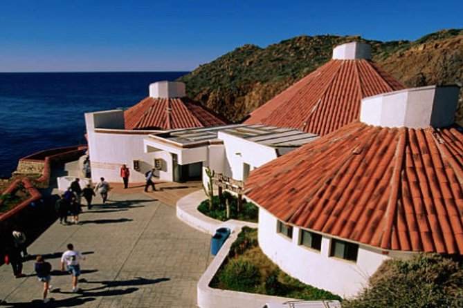 Ensenada Shore Excursion: City Tour & La Bufadora - Meeting at the cruise dock at 9:30 a.m.