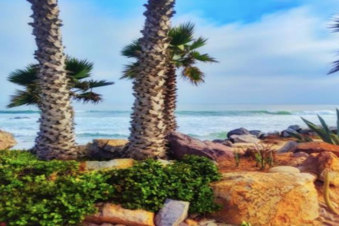 Ensenada Shore Excursion: City Tour & La Bufadora - What is included, and what you still need to plan