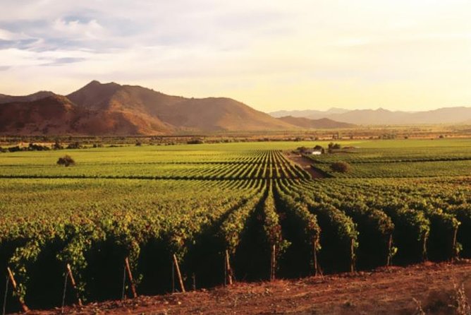 Ensenada Shore Excursion: Entre Santos and El Cielo Winery Tours with Lunch - Key points to know before you book