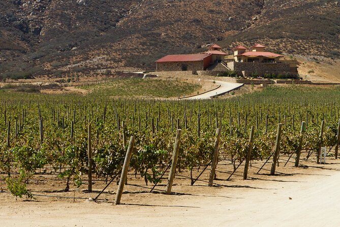 Ensenada Shore Excursion: Entre Santos and El Cielo Winery Tours with Lunch - Seven pours, with an important catch