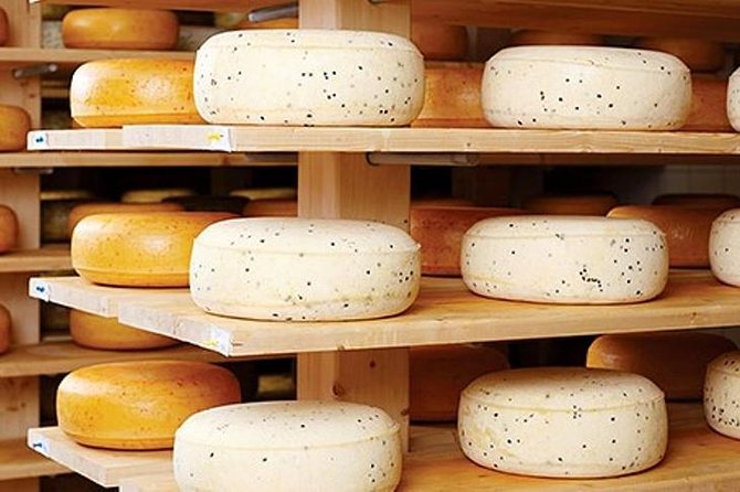 Ensenada Shore Excursion: Wine and Cheese Tour with Lunch in Ojos Negros Valley - Key details at a glance