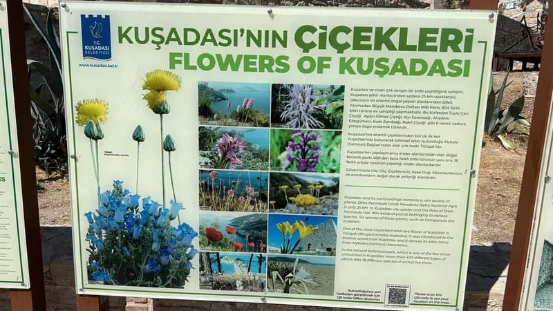 Ephesus tours wholesalerShopTours from cruise port Kusadasi - The dance show and Adasaray hamam stop