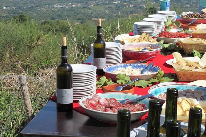 Etna Private tour from Messina Cruise Terminal + Lunch at Winery - What the Private Format Adds