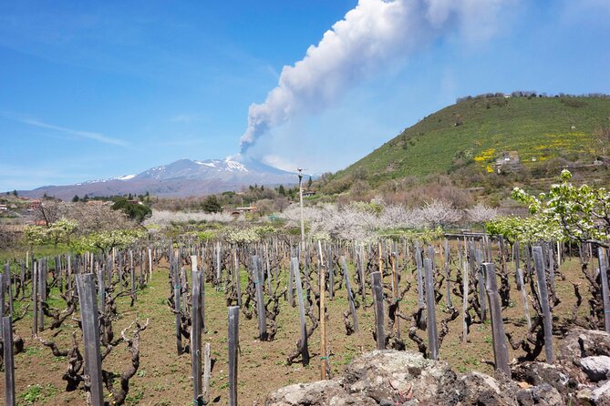 Etna Private tour from Messina Cruise Terminal + Lunch at Winery - Who Will Enjoy This Etna Excursion
