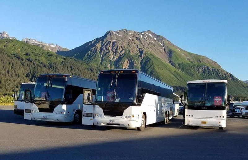 Exclusive excursion from Vigo to Santiago de Compostela for cruise passengers - Timing, mobility, and practical cautions