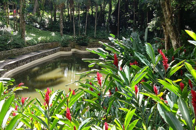 Explore Puerto Plata's Best & Cable Car - Shore Excursion - Why this shore excursion works well in Puerto Plata