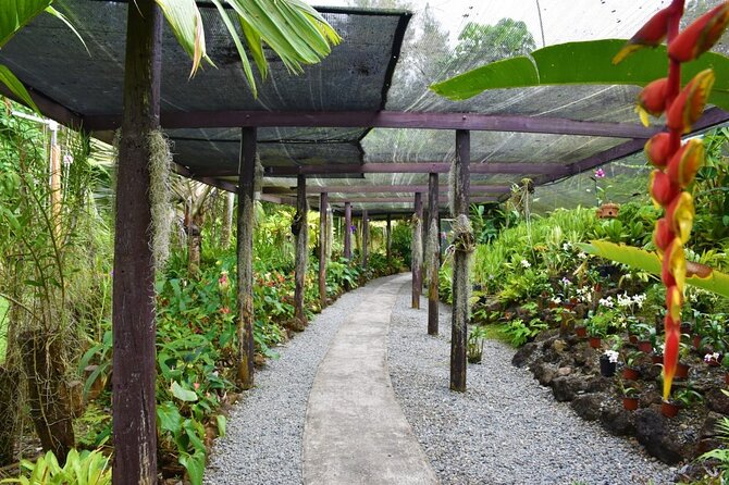 Fiji Lautoka Shore Excursions Tour - Is $84.66 good value?