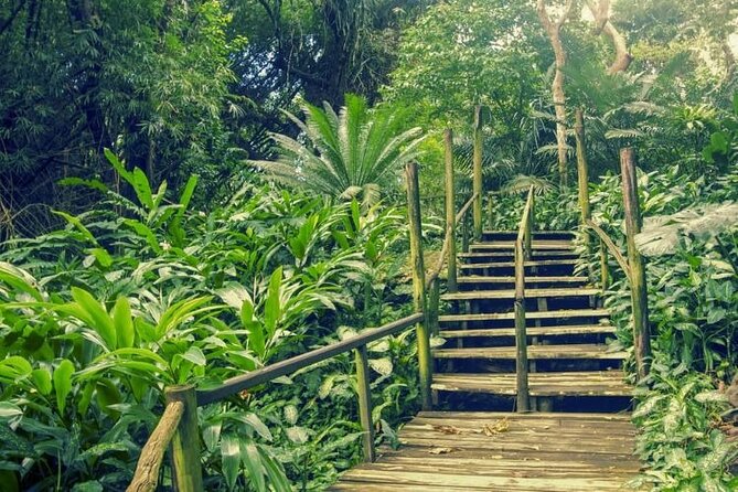 Fiji Lautoka Shore Excursions Tour - Who will enjoy this excursion most?