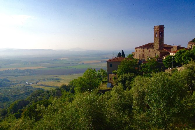 Florence and San Gimignano Private Tour from Livorno - How much value do you get for $1,167.59?