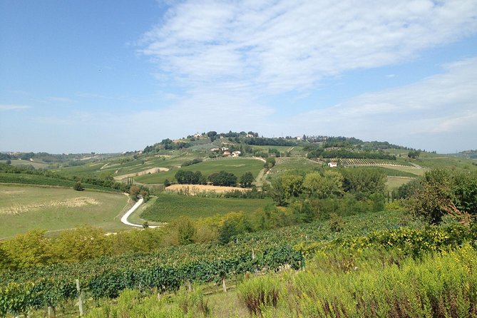 Florence and Wine Tasting Private Tour from Livorno - Key points before you book
