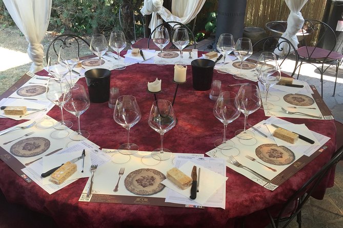 Florence and Wine Tasting Private Tour from Livorno - A Tuscan winery, tasting, and light lunch