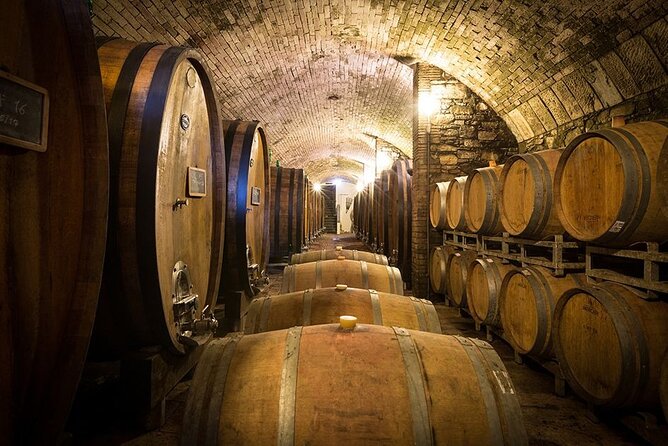 Florence & Pisa Shore Excursion with Chianti Wine Tasting - A practical lunch plan in Florence