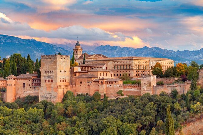 For Cruise Passengers ONLY: Granada and Alhambra from Malaga Port - The Details That Matter Most