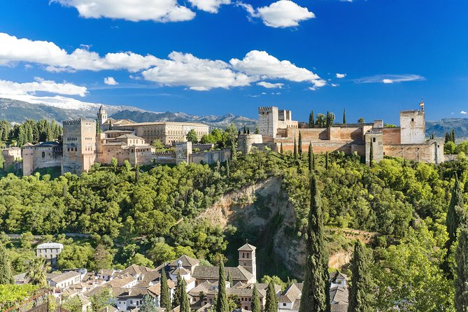 For Cruise Passengers ONLY: Granada and Alhambra from Malaga Port - Walking, Mobility, and Comfort
