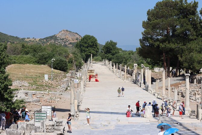 FOR CRUISERS: Highlights of Ephesus Private Tour (GUARANTEED ON-TIME RETURN) - Price, timing, and overall value