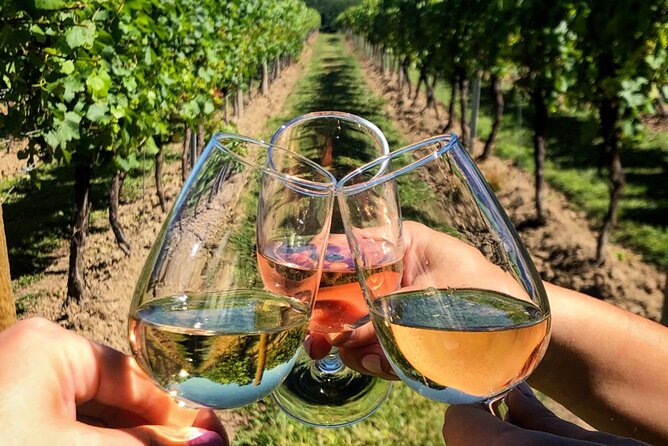 FOR CRUISERS:Kusadasi Port Private Wine Tasting and Ephesus Tour - Key Points at a Glance