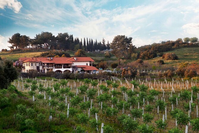 FOR CRUISERS:Kusadasi Port Private Wine Tasting and Ephesus Tour - Yedi Bilgeler Winery and the Five-Course Tasting