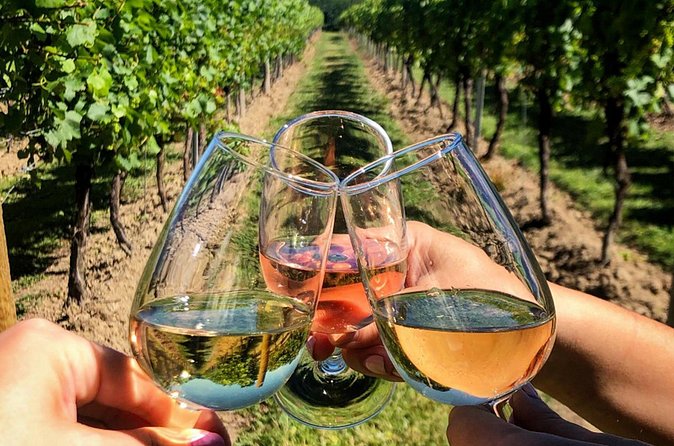 FOR CRUISERS:Kusadasi Port Private Wine Tasting and Ephesus Tour - Is $45 Per Person a Good Value?