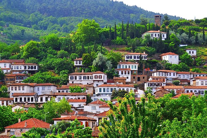 FOR CRUISERS:Kusadasi Port Private Wine Tasting and Ephesus Tour - Timing, Booking, and Cancellation Advice