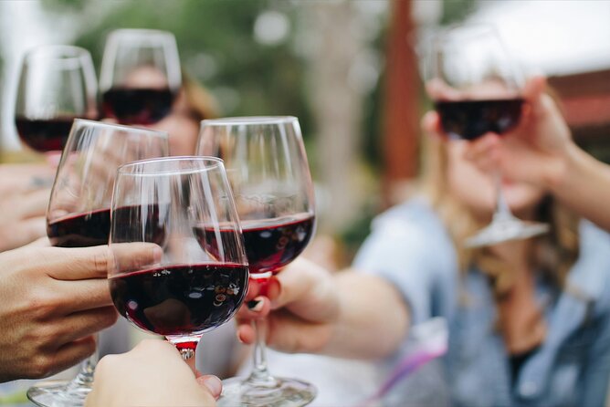 FOR CRUISERS:Kusadasi Port Private Wine Tasting and Ephesus Tour - Meeting Your Guide at Kusadasi Port