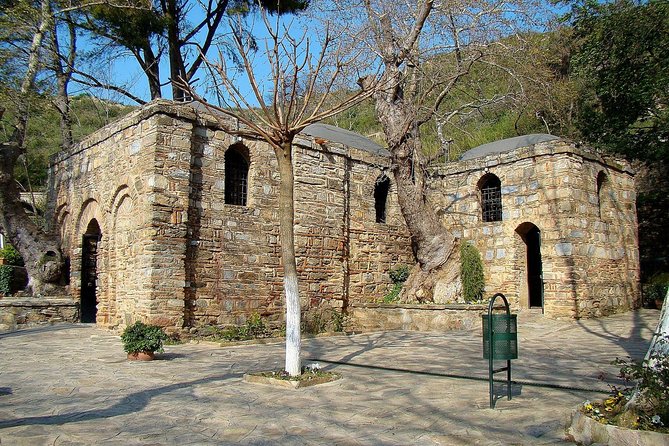 FOR CRUISERS: PRIVATE EPHESUS TOUR INCLUDES ENTRY FEES & Lunch - Lunch, shopping, and what the price means