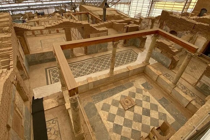 FOR CRUISERS: Private Ephesus Tour with GUARANTEED ON-TIME RETURN - The Temple of Artemis in ten minutes