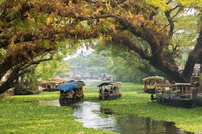 Fort Kochi Tour by Tuk Tuk for Cruise Passengers - The guides and the feel of the ride