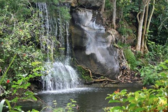 Freeport Shore Excursion: Garden of the Groves and City Tour - Key things to know before booking