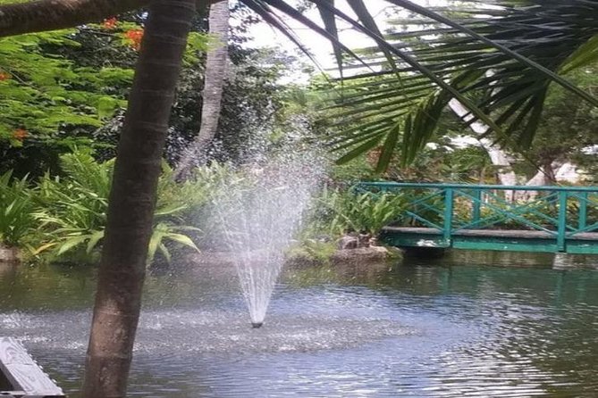 Freeport Shore Excursion: Garden of the Groves and City Tour - A practical way to see Grand Bahama in four hours