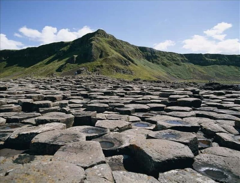 From Belfast: Causeway Express Tour Shore Excursion - The long run north to the Dark Hedges
