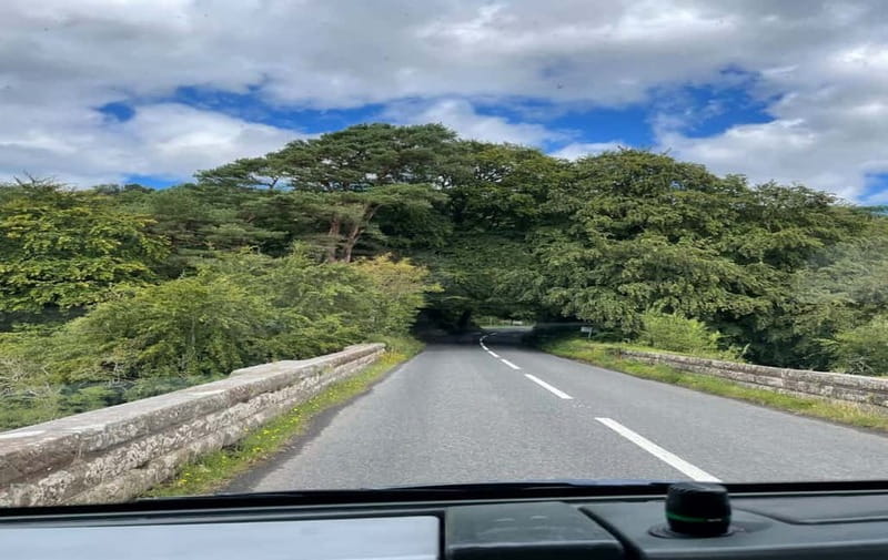 From Belfast: Causeway Express Tour Shore Excursion - The Giant’s Causeway deserves the longest stop
