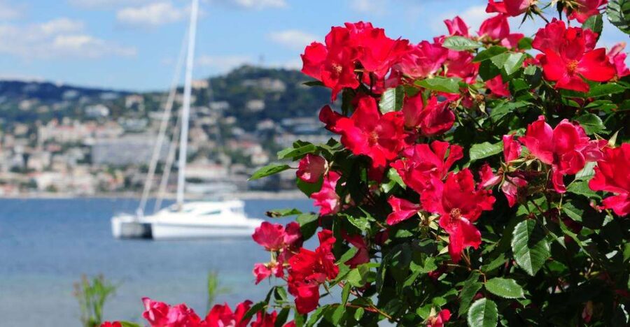 From Cannes:Shore excursion to Grasse,Antibes,St PauldeVence - Key points before you book