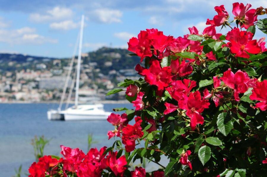 From Cannes:Shore excursion to Grasse,Antibes,St PauldeVence - Timing, food, and the one detail to confirm