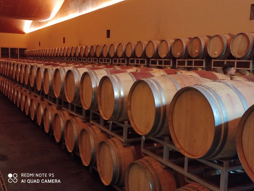From Civitavecchia: Tuscany-Latium Wine Tour with Tastings - Pickup Advice for Cruise Passengers