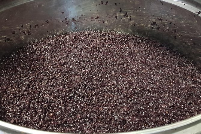 From Civitavecchia: Tuscany-Latium Wine Tour with Tastings - Roccapesta brings a second wine perspective