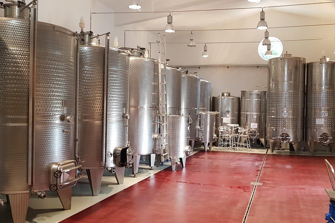 From Civitavecchia: Tuscany-Latium Wine Tour with Tastings - The schedule, pace, and port-day risks