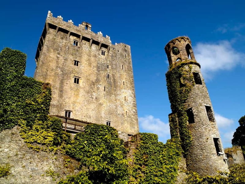 From Cork: Guided Shared Shore Excursion - Why this Cork shore tour works well