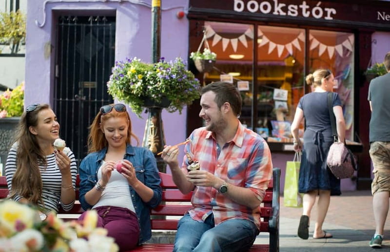 From Cork: Guided Shared Shore Excursion - The Mercedes van and guide service
