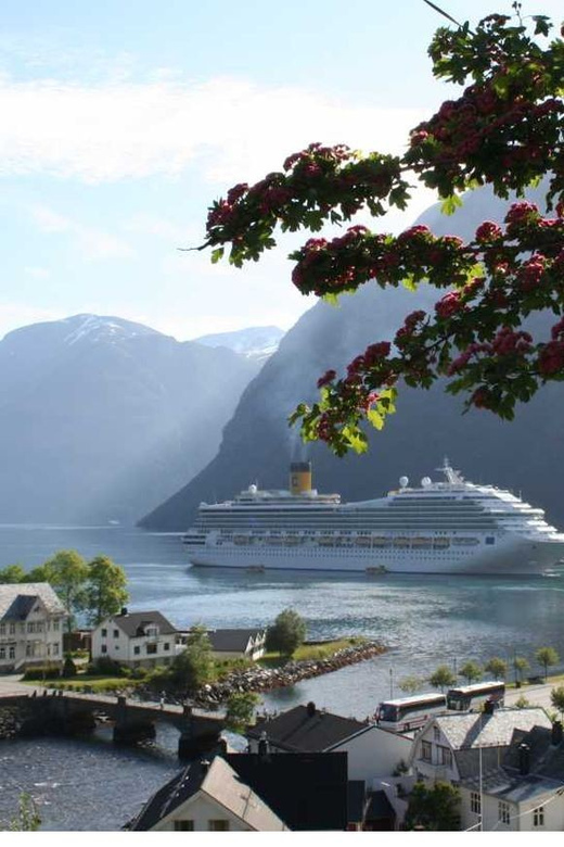 From Hellesylt: The Best of Geiranger Shore Excursion - Key points to know before booking