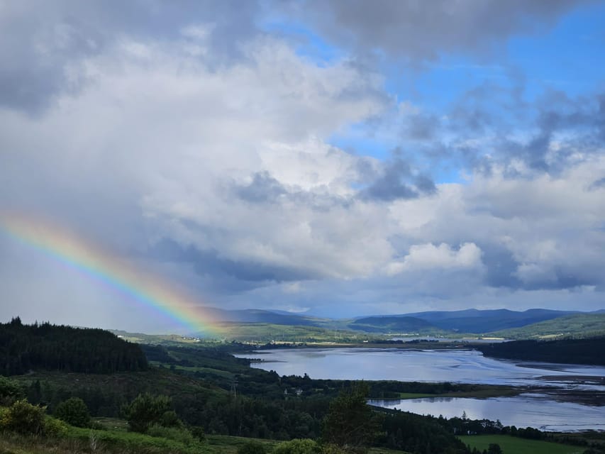 From Invergordon: Dunrobin Castle, Loch Fleet, and Dornoch … - Loch Fleet and the chance to see seals