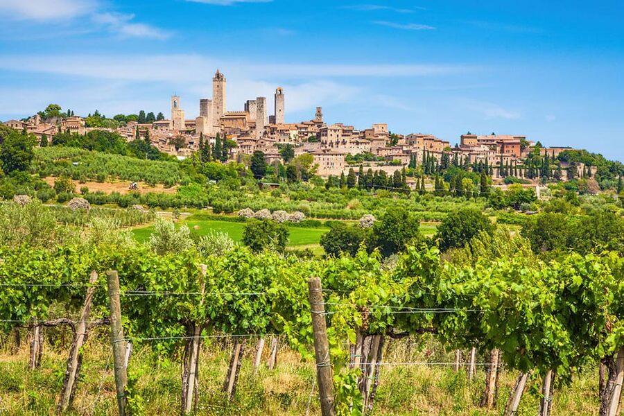 From Livorno: San Gimignano with Lunch and Tasting - Should you book it?